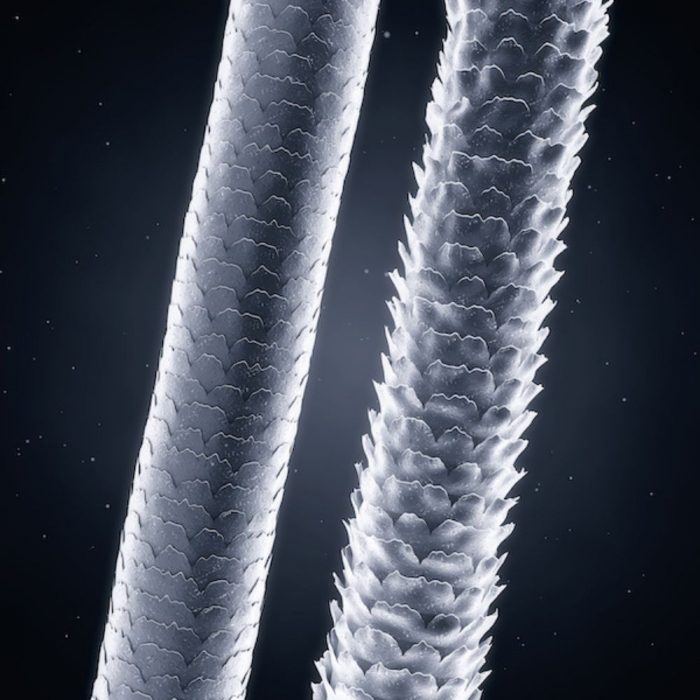 image of a damaged hair strand and a repaired strand