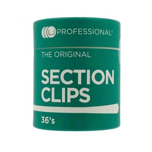 Agenda LJ Professional Section Clips 36pc