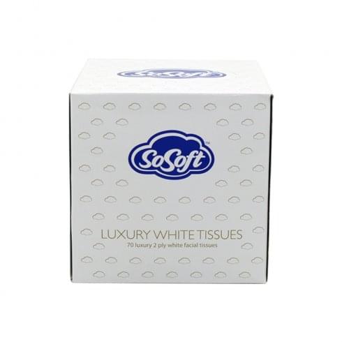 Agenda  Tissues Cube (100)