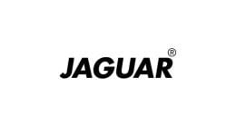 Jaguar  Hera