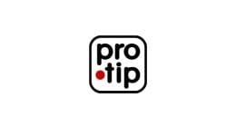 Pro Tip Wide Tinting Brush 023