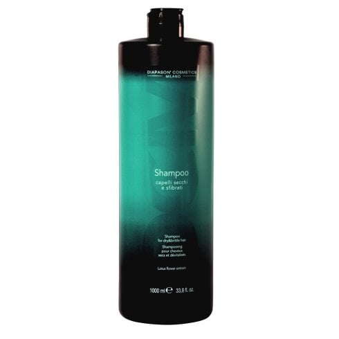 DCM Dry Hair Shampoo