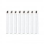 Disposable Lipstick Brushes (25)