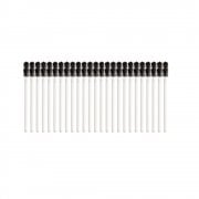 Disposable Mascara Wands (25)