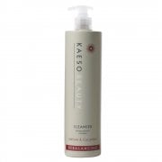 Rebalancing Facial Cleanser