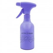 Spray Water Bottle